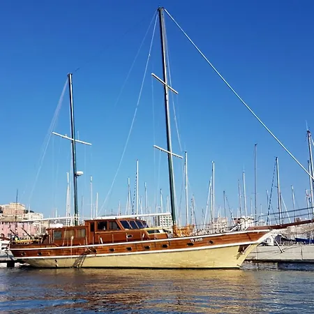 Lady Rose Genoa
