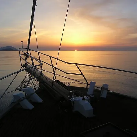 Lady Rose Genova