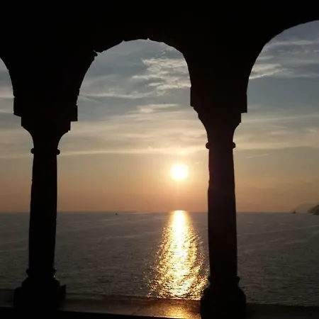 Lady Rose * Genova